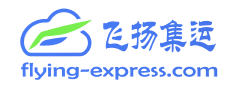 飛揚集運系統(tǒng)